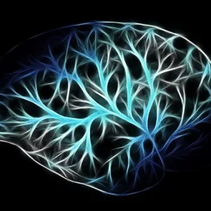 Central and autonomic nervous system (German/French)