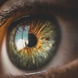 Low vision: basics, diagnostics &amp; support measures