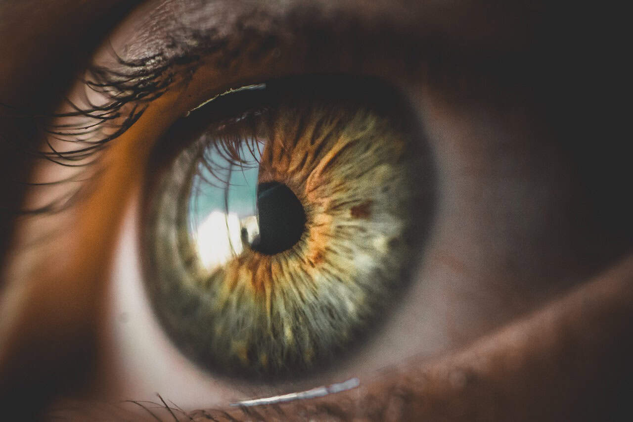 Low vision: basics, diagnostics & support measures
